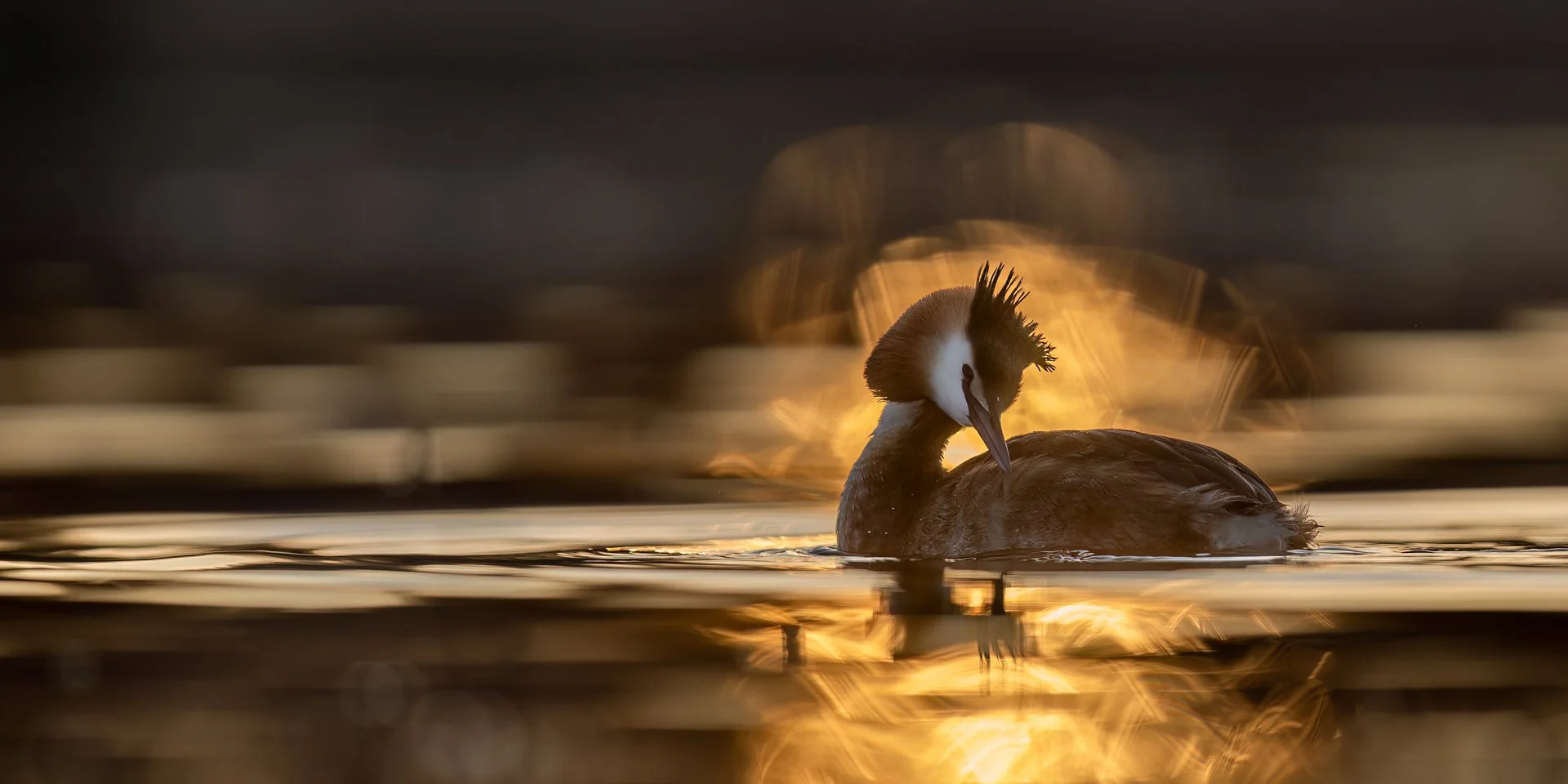 Aamuauringon säteissä