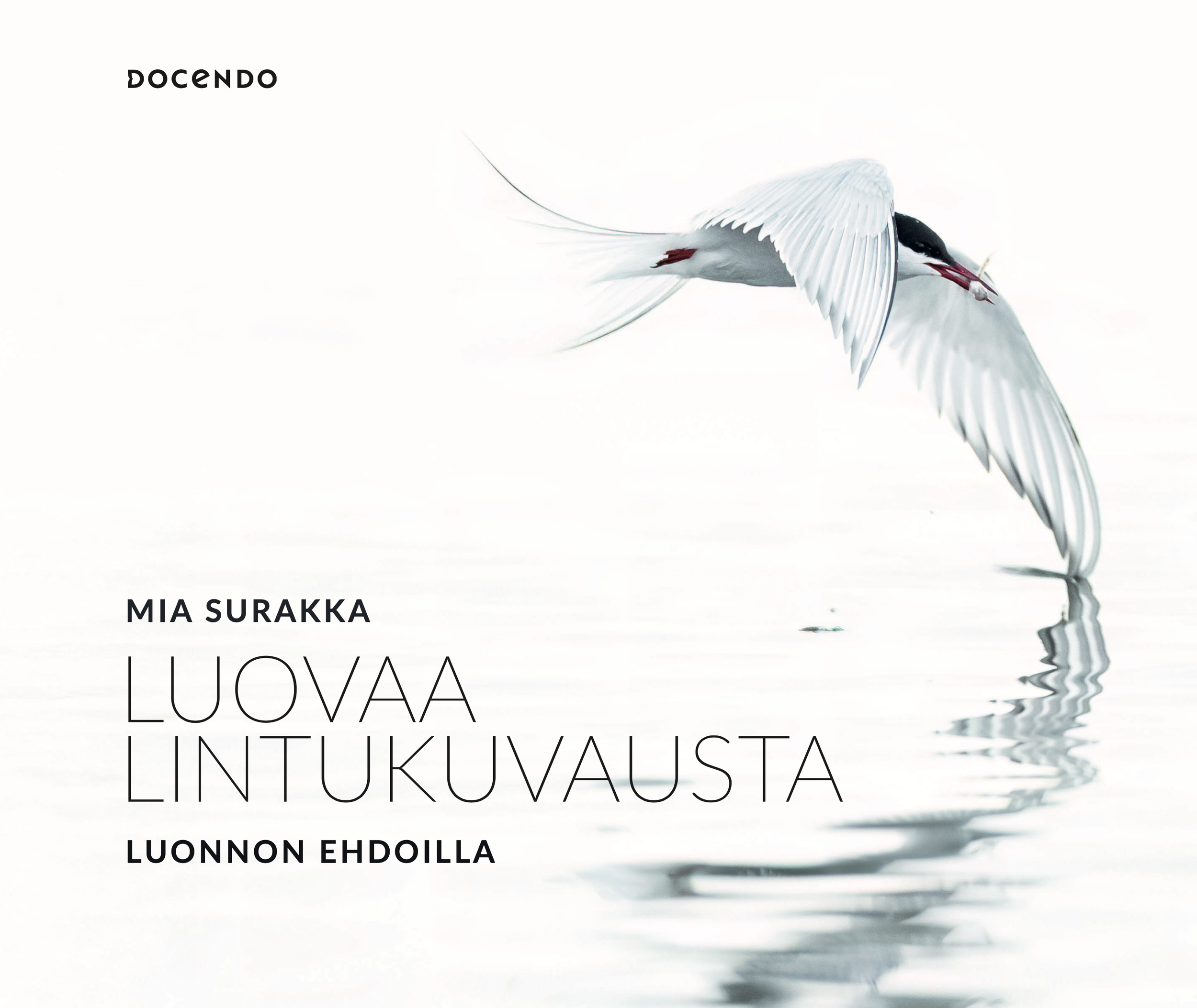 Luovaa lintukuvausta kansi.png