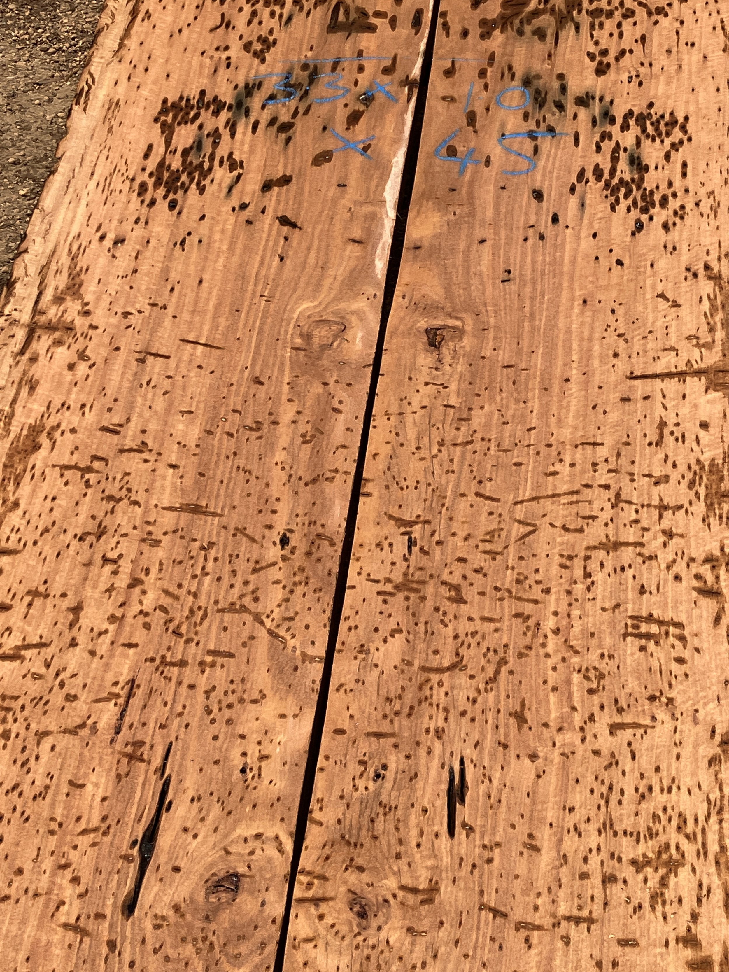 1219A+Blackbutt.JPG