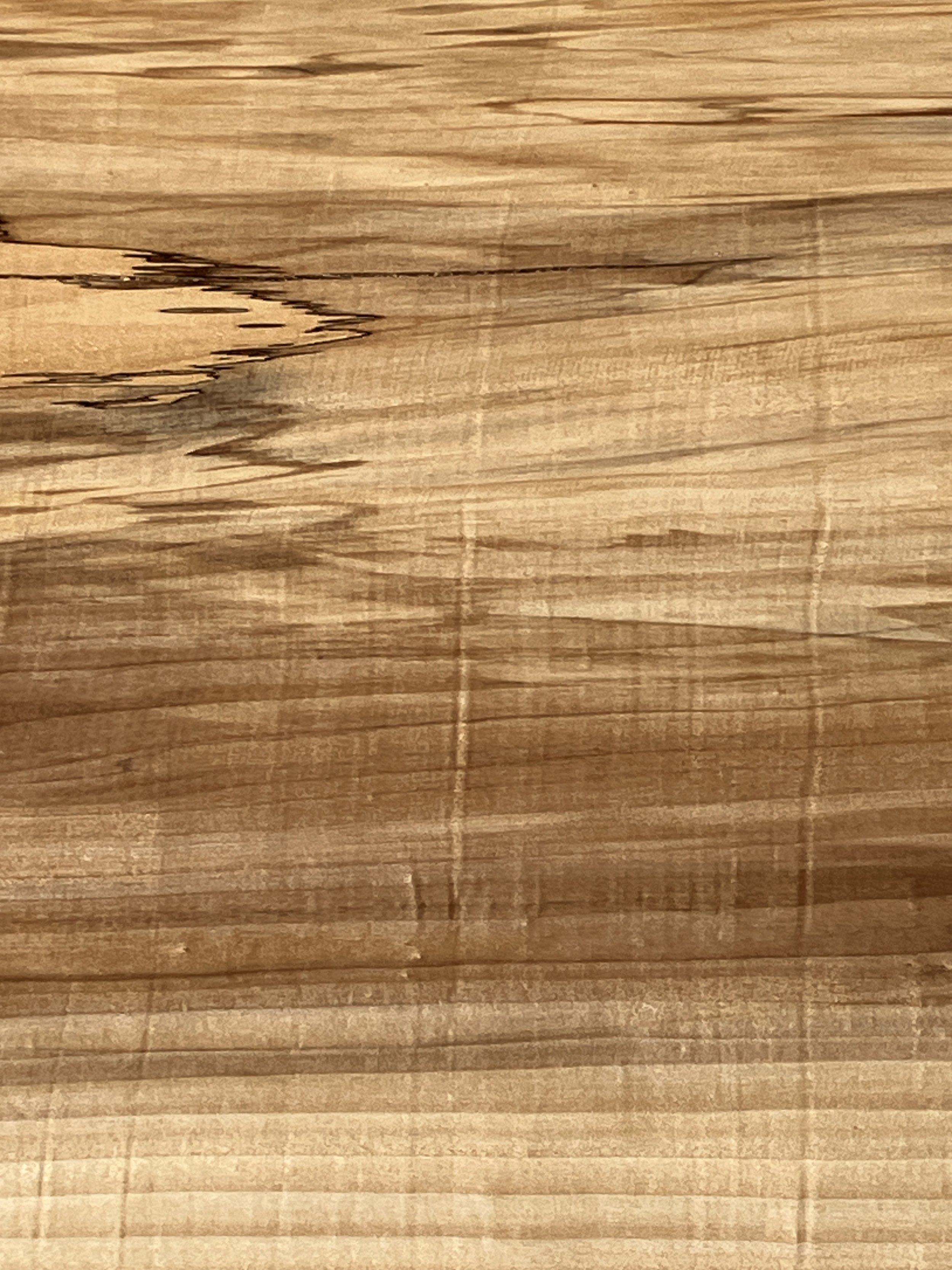 1224C+Black+Poplar.JPG