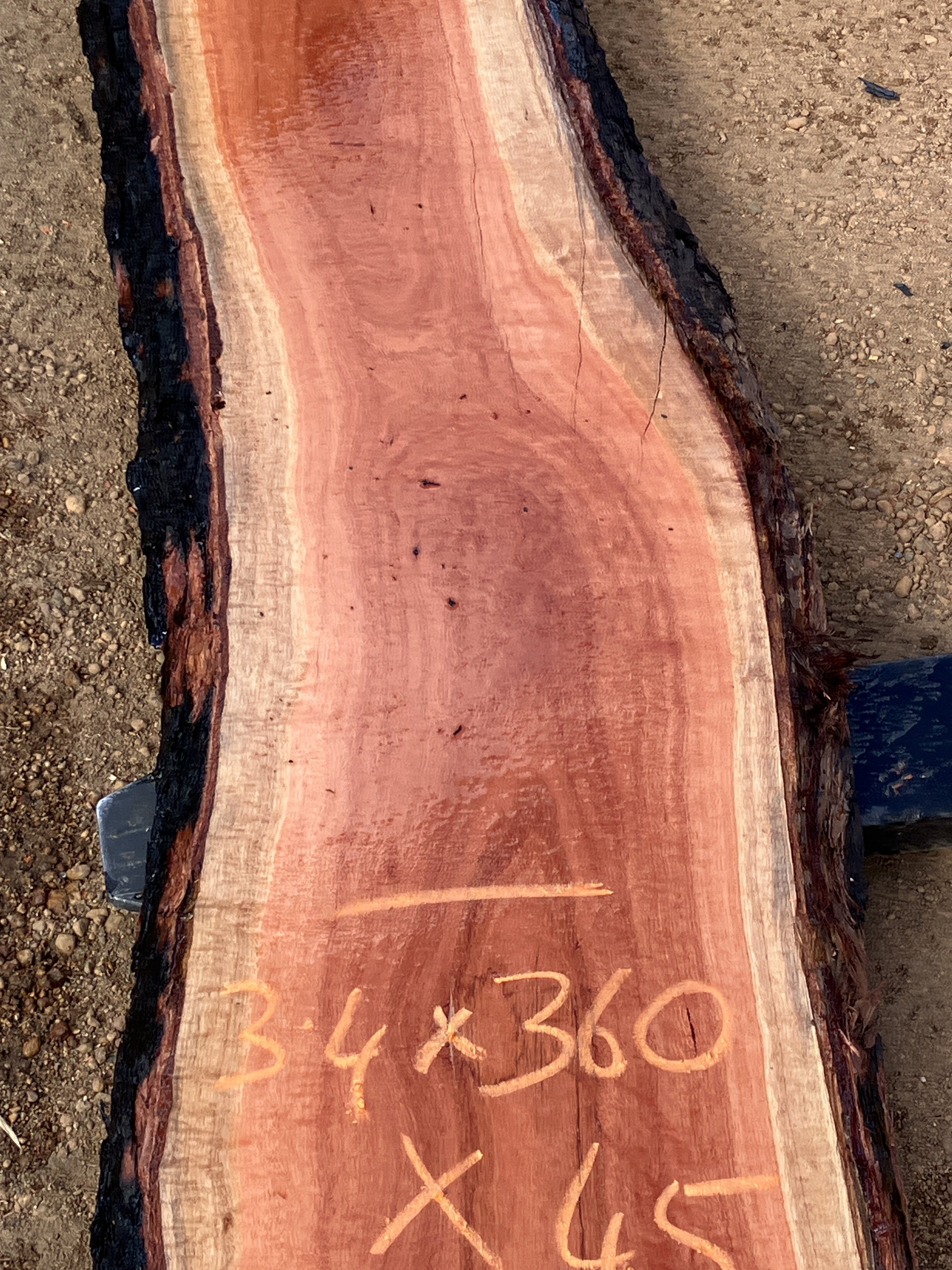 1234B+Jarrah.JPG