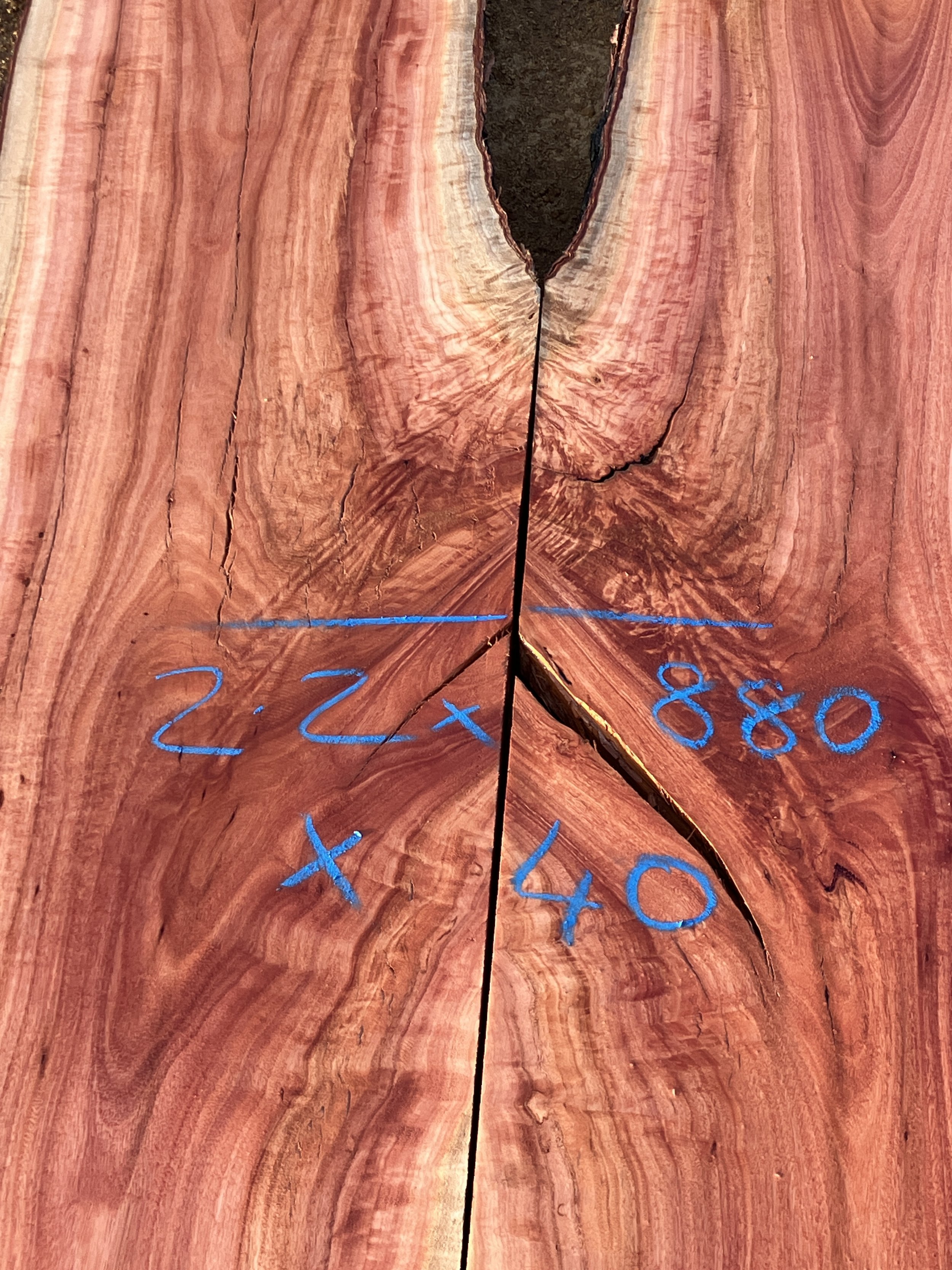 1234D+Jarrah.JPG