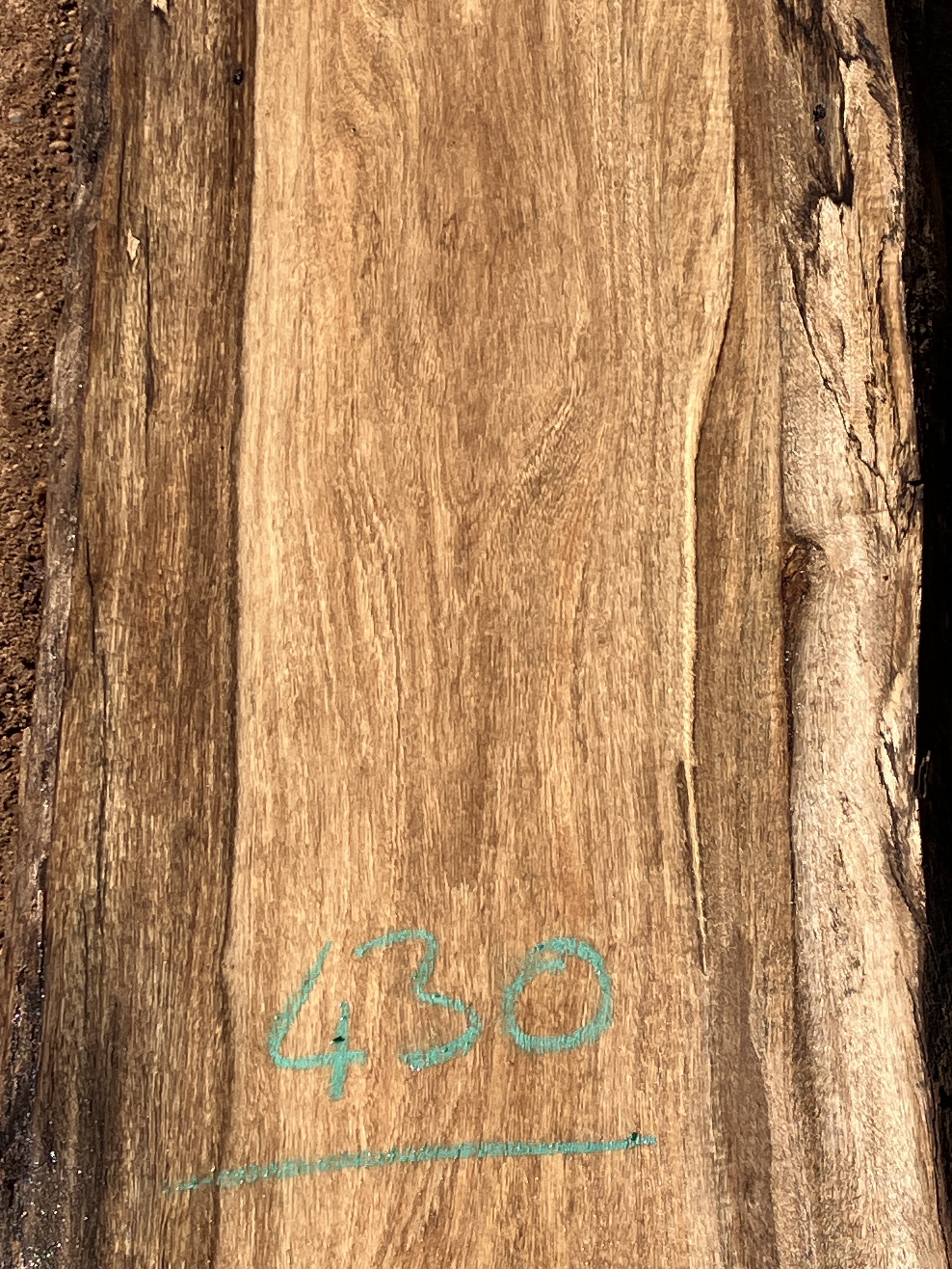 1239B+Marri.JPG