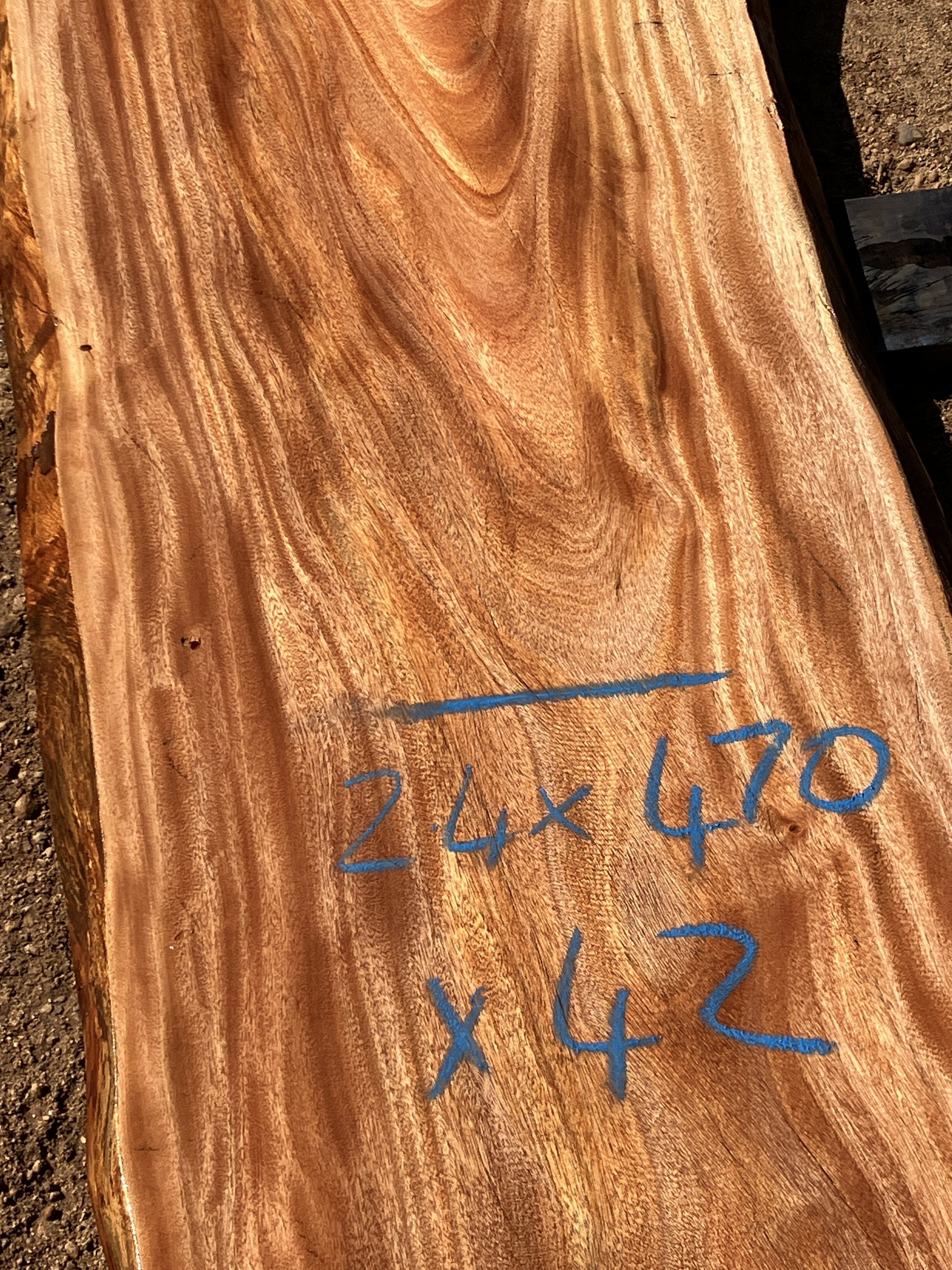 1242E+African+Mahogany.JPG