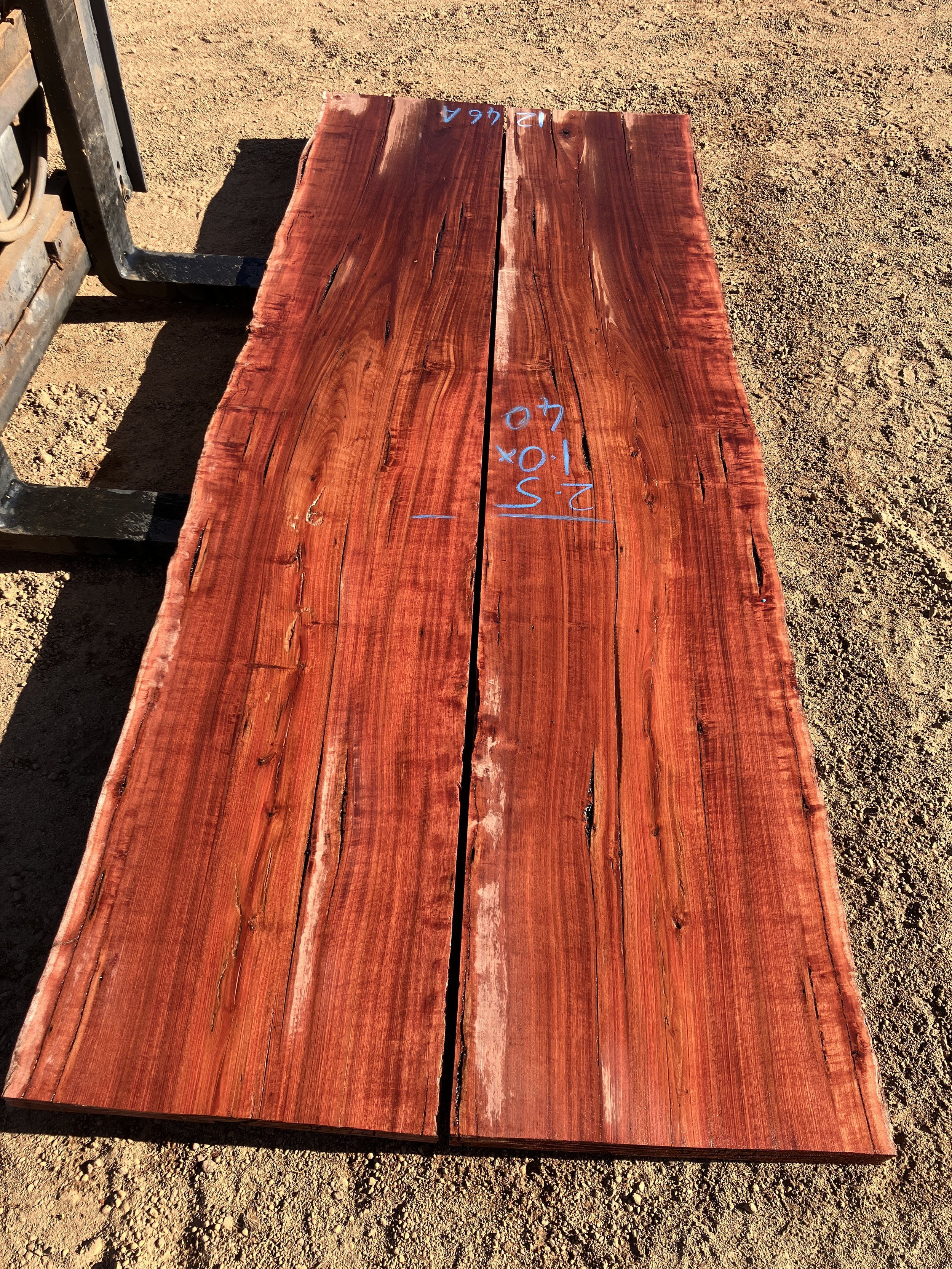 1246A+Jarrah.JPG
