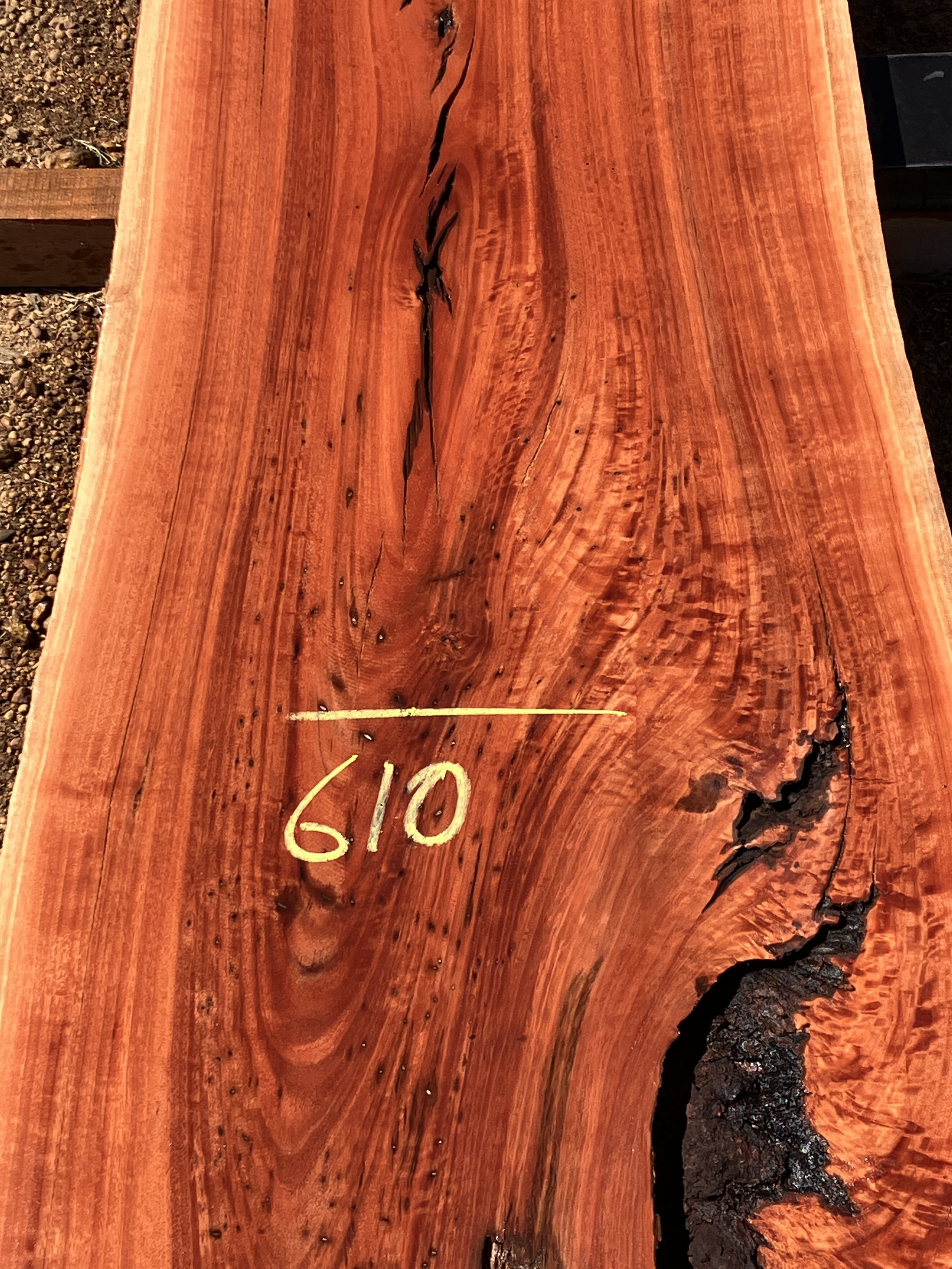 1249I+Jarrah.JPG