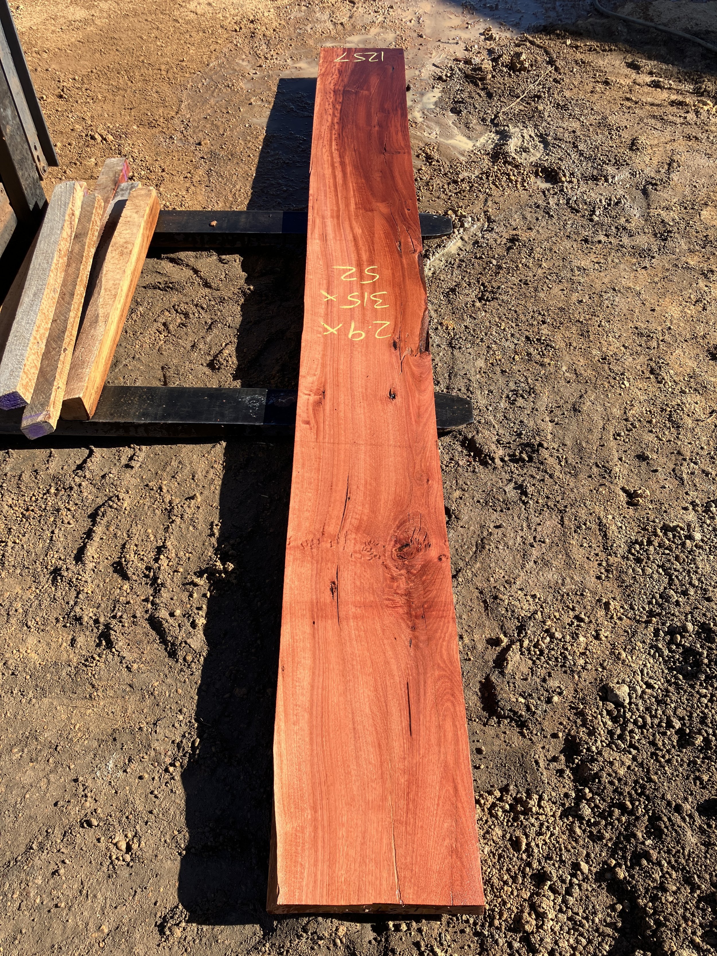 1257+Jarrah.JPG