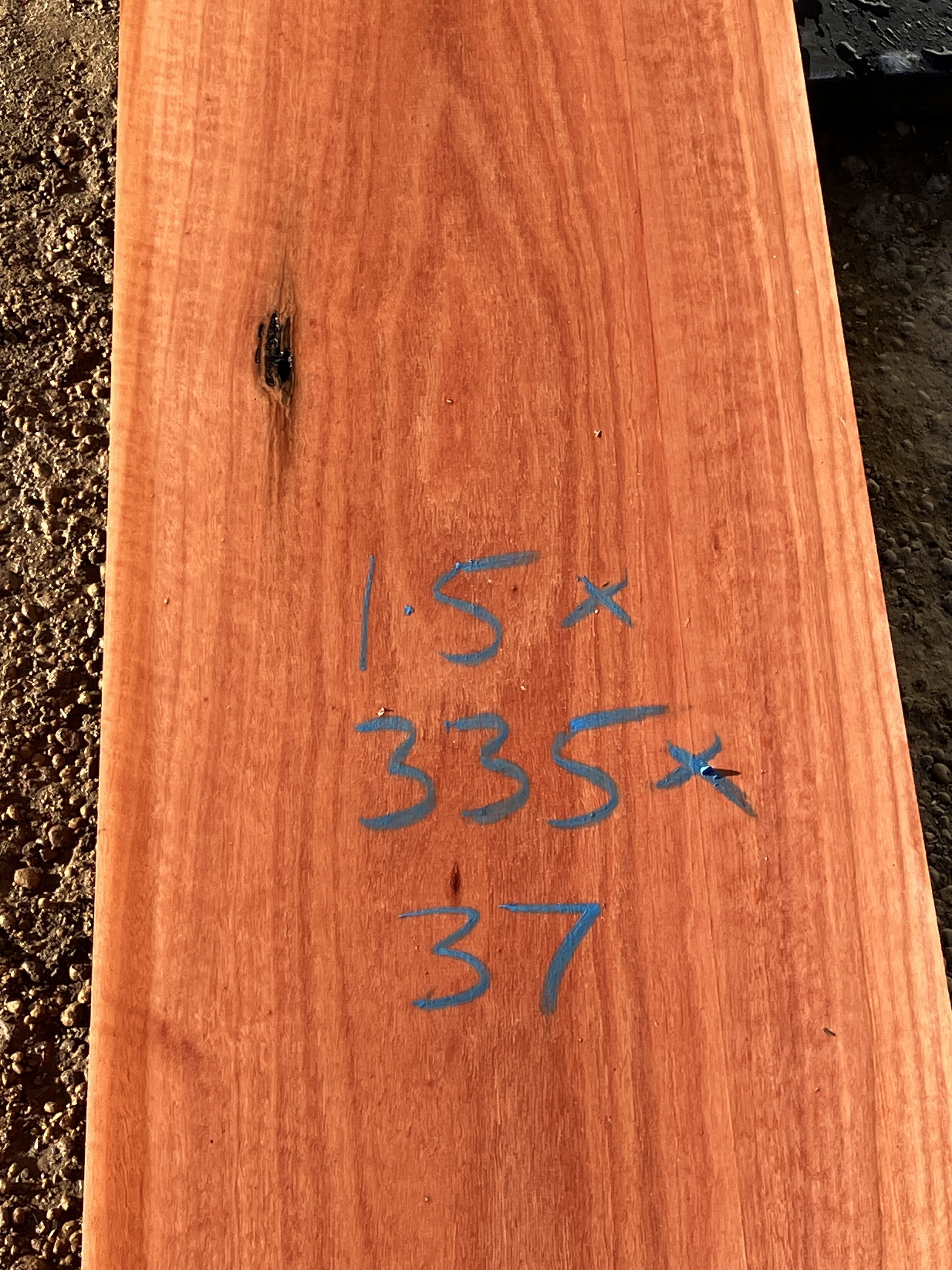 1275A+Jarrah.JPG