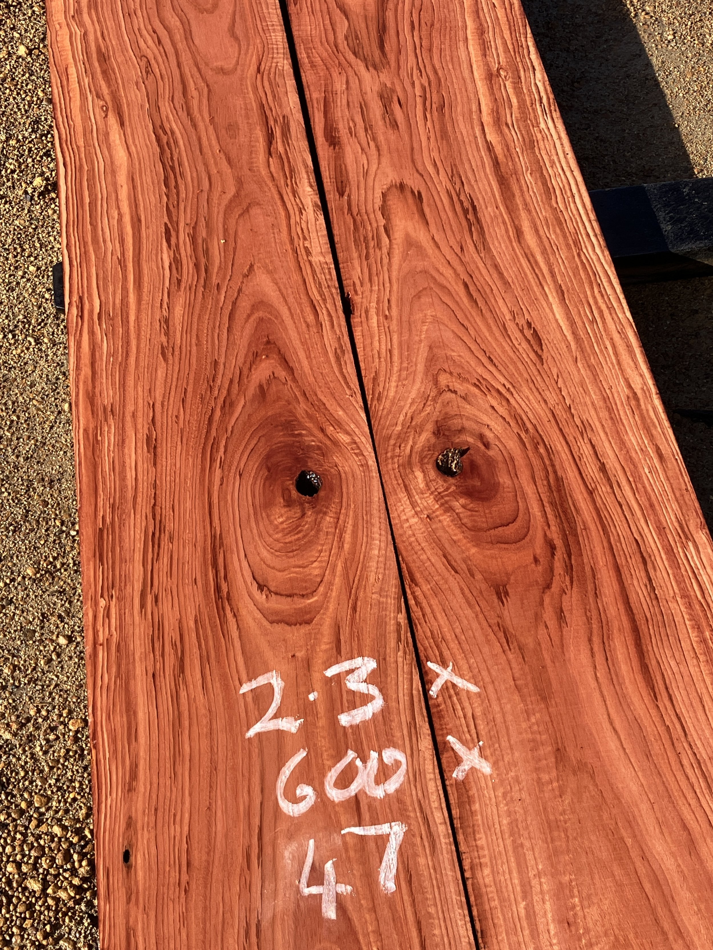1298C+Jarrah.JPG