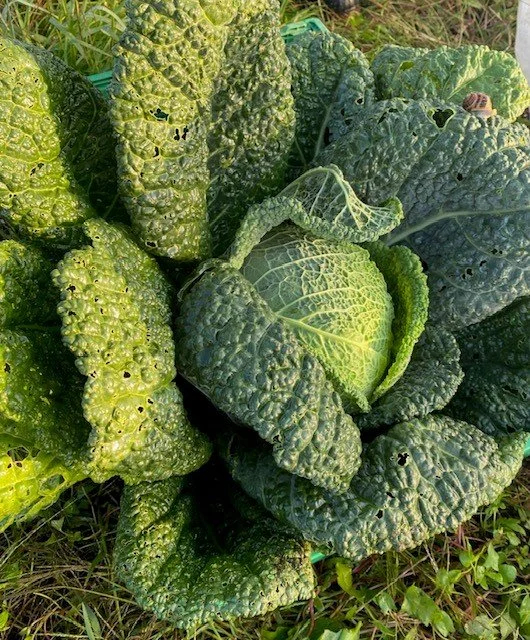 Janvier à la Ferme !
