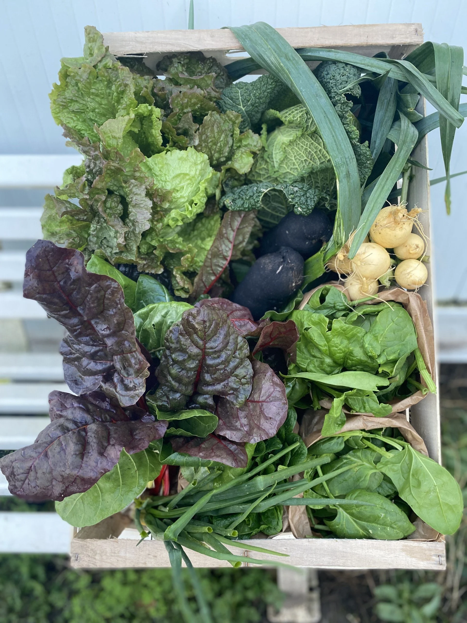 En février, faites le plein de vitamines !