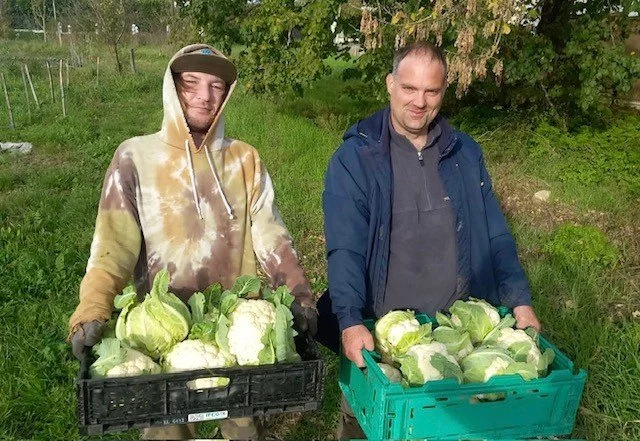 L'insertion par l’activité économique fragilisée&nbsp;