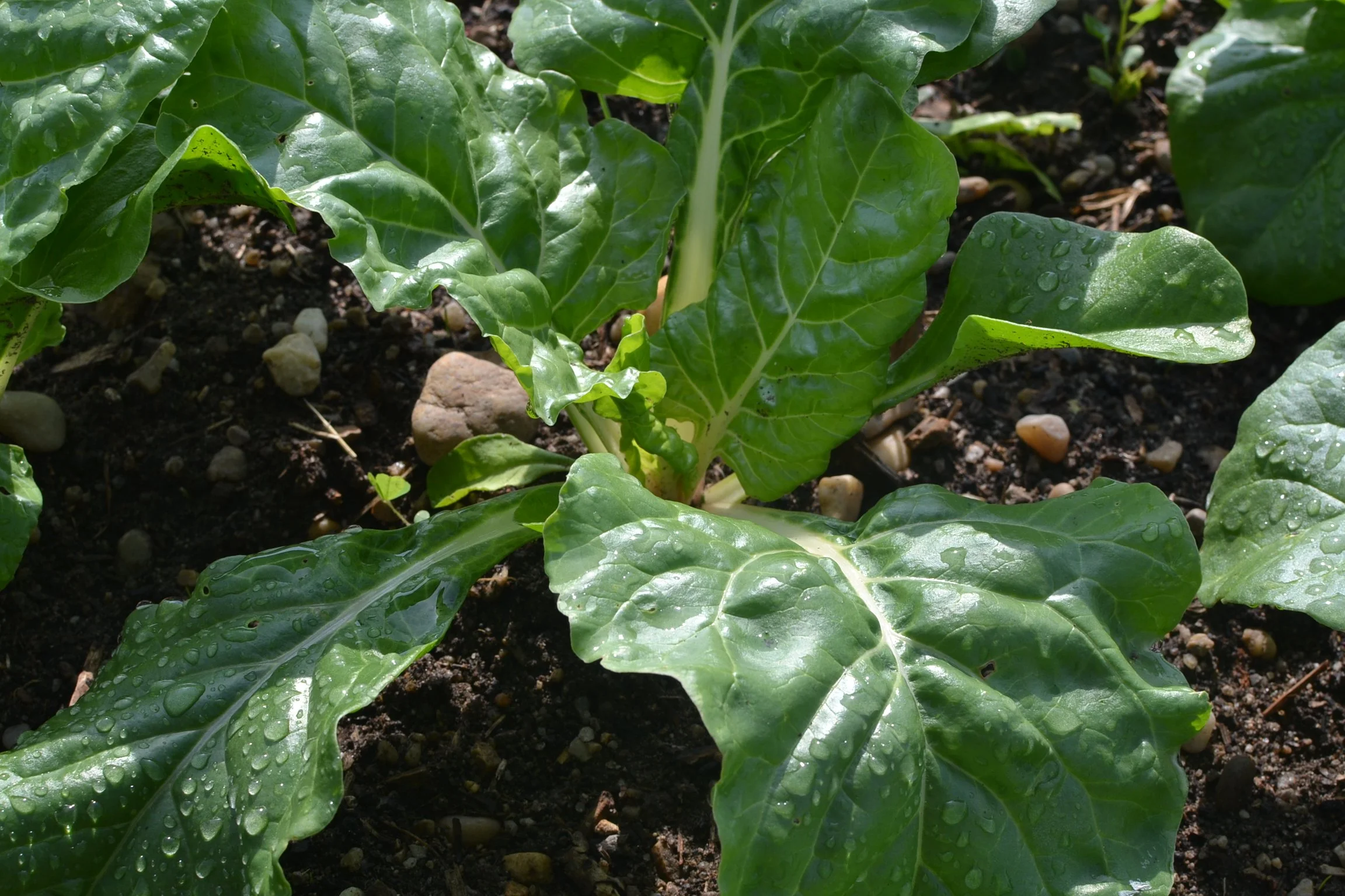 On est déjà en mars !