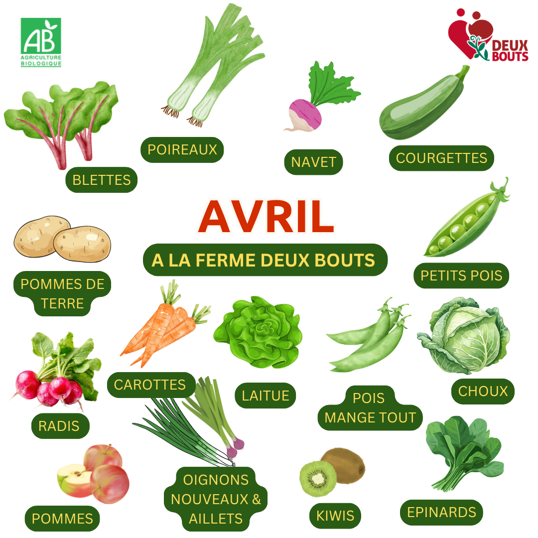 Les légumes d’avril