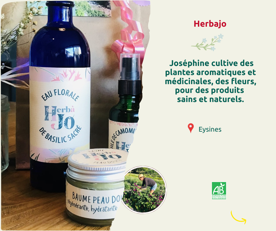 FB marché 3.png
