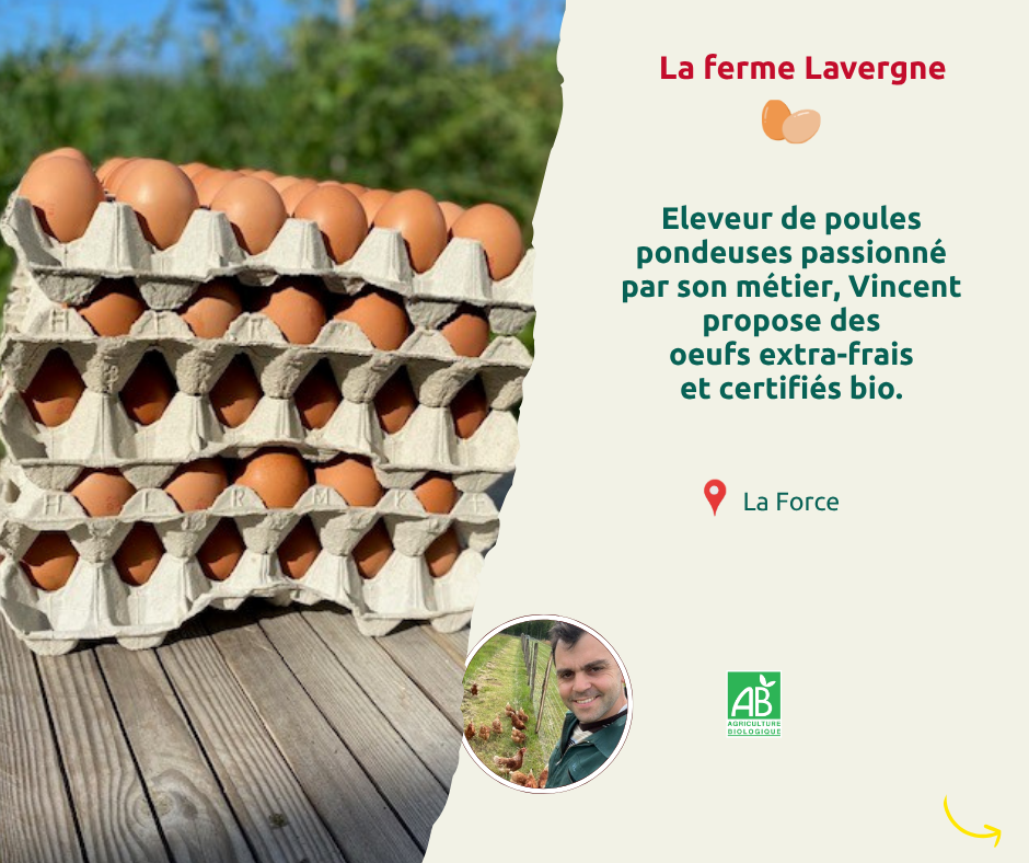 FB marché 12.png