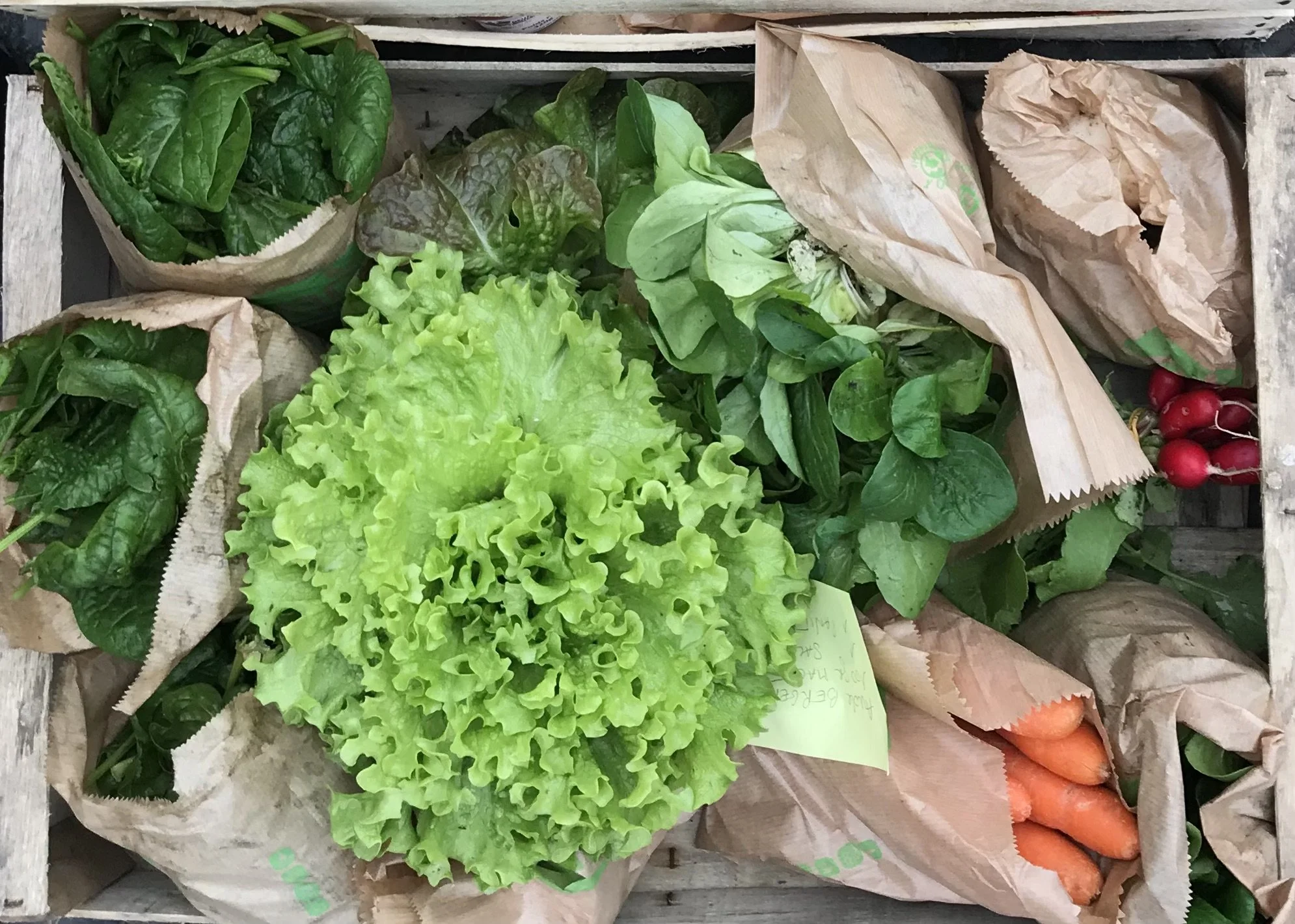 Envie de bons légumes bio ?