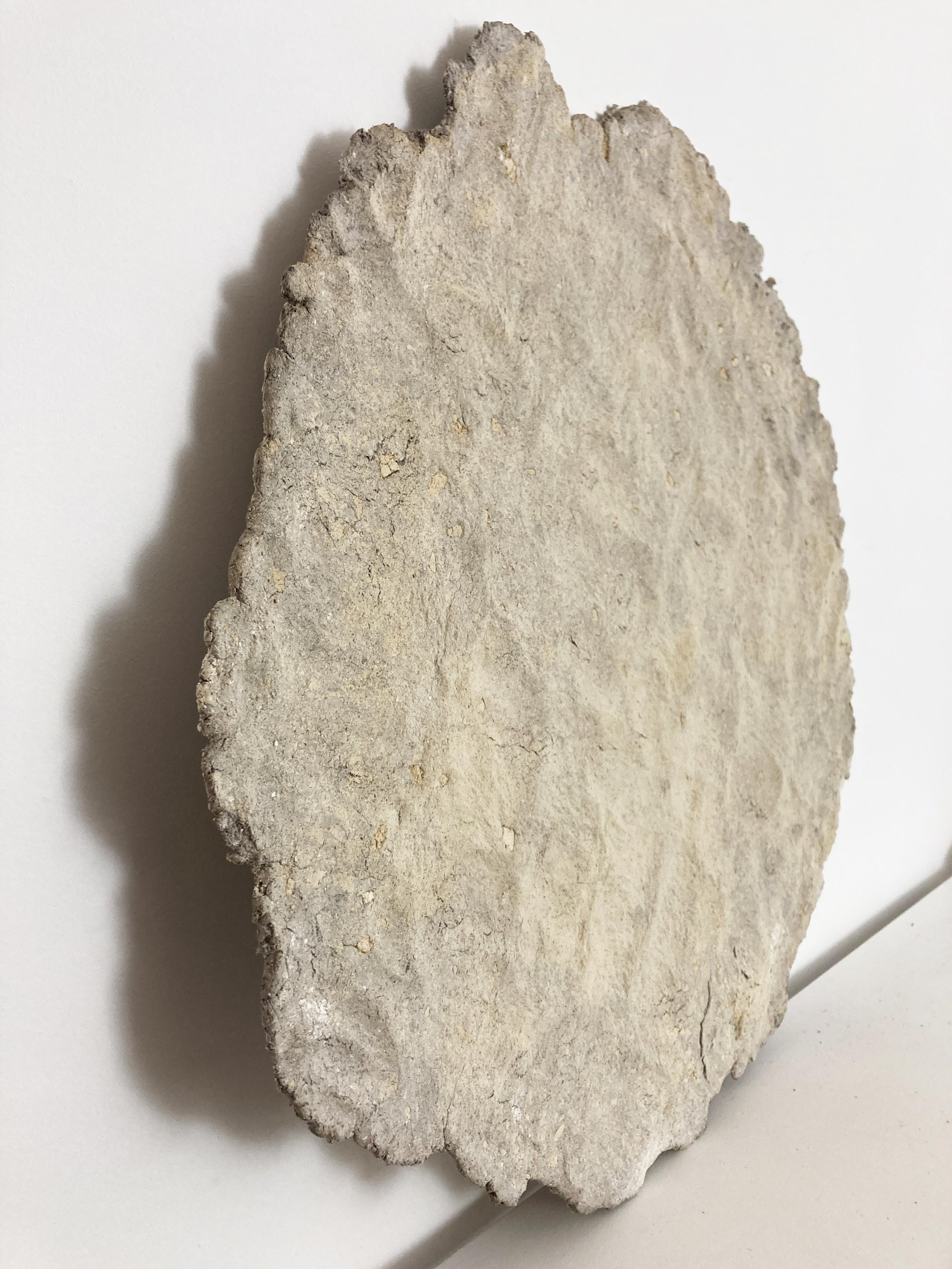 Agnes-Kotarba-oeuvre.jpg