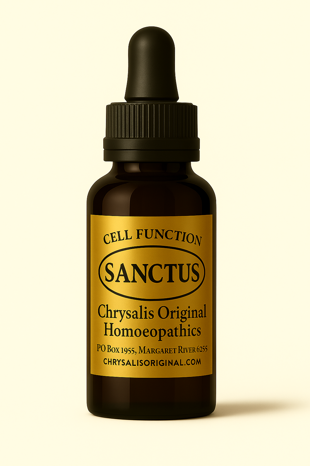 Sanctus render.png