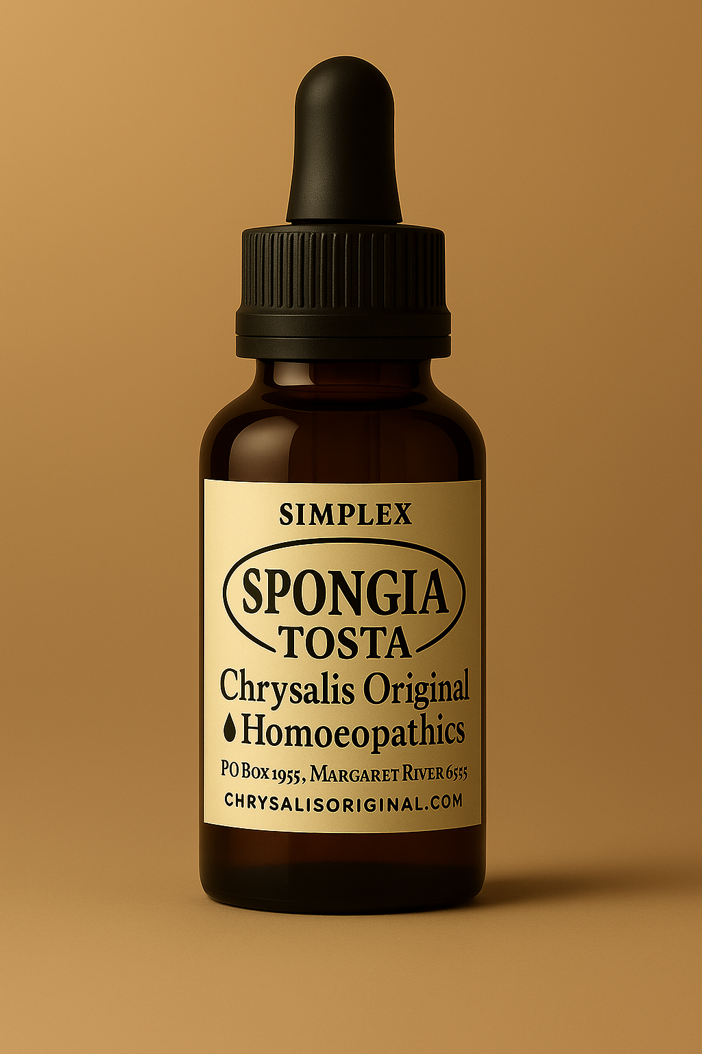 Spongia Tosta render.png