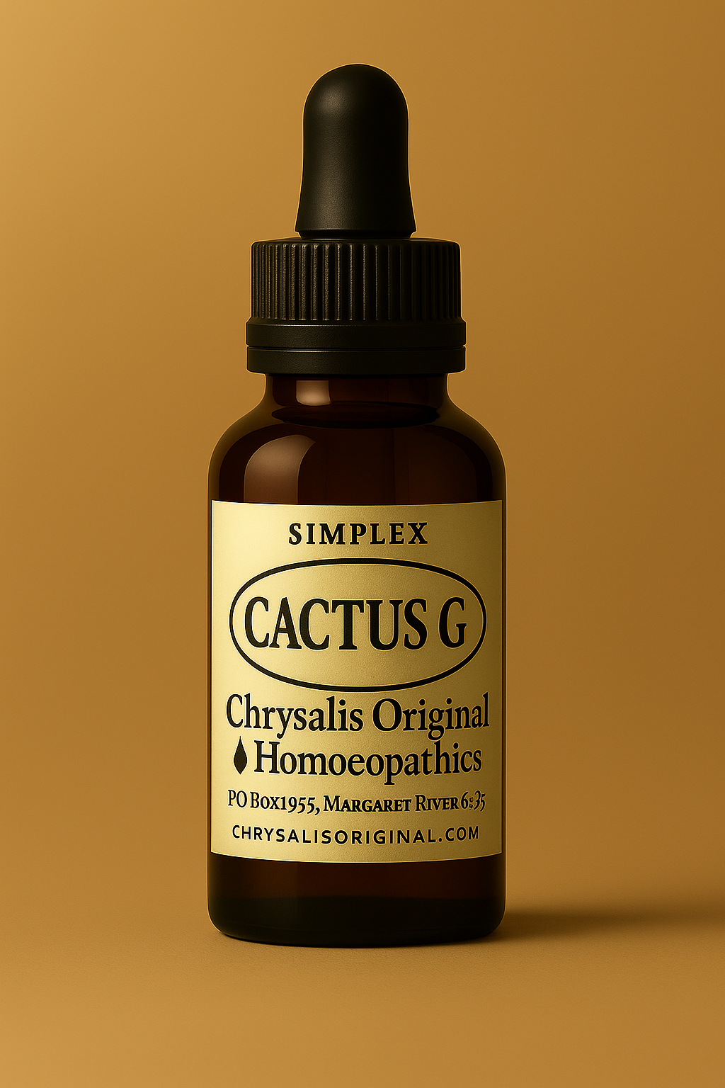Cactus render.png
