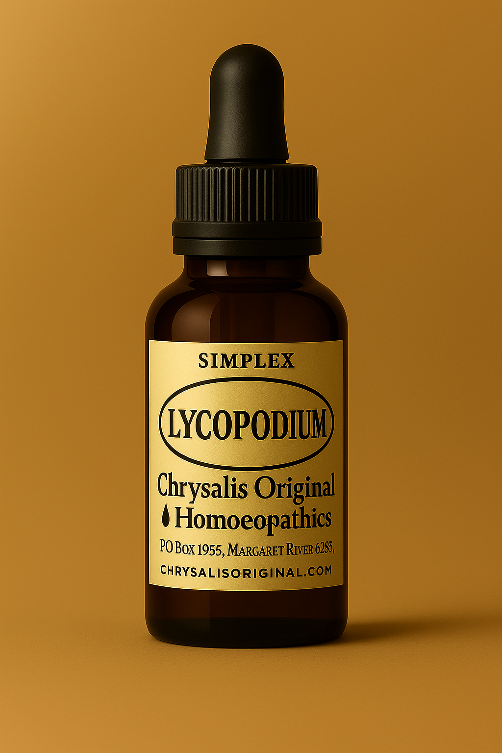 Lycopodium render.png