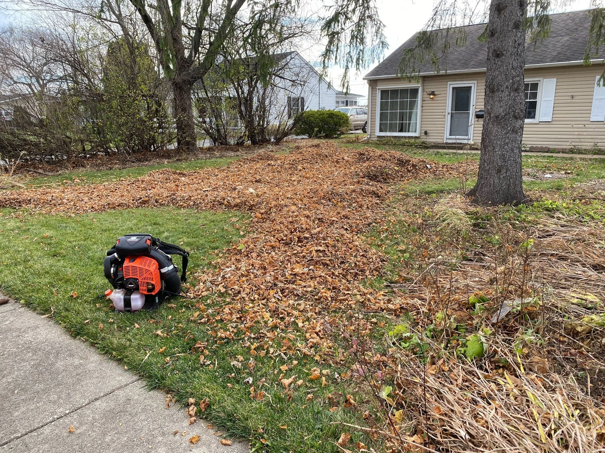 Evo Lawn and Landscape seasonal residential leaf cleanup and debris removal work