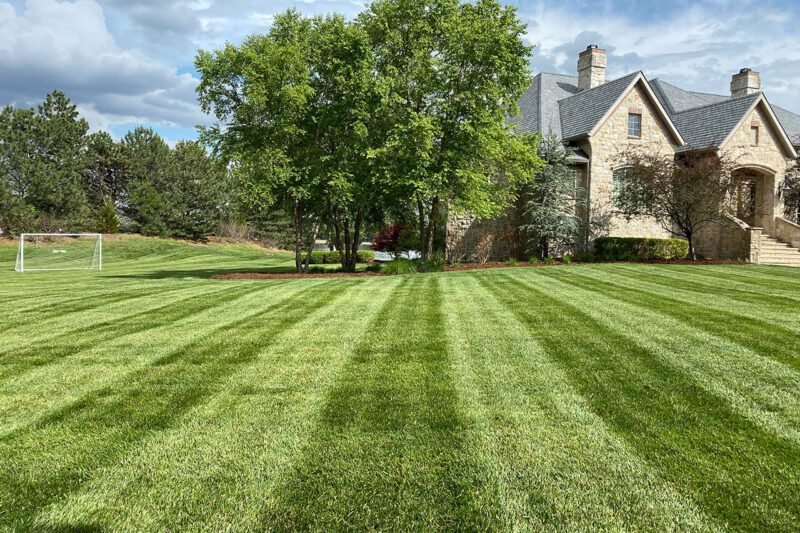 Weekly lawn online service near me