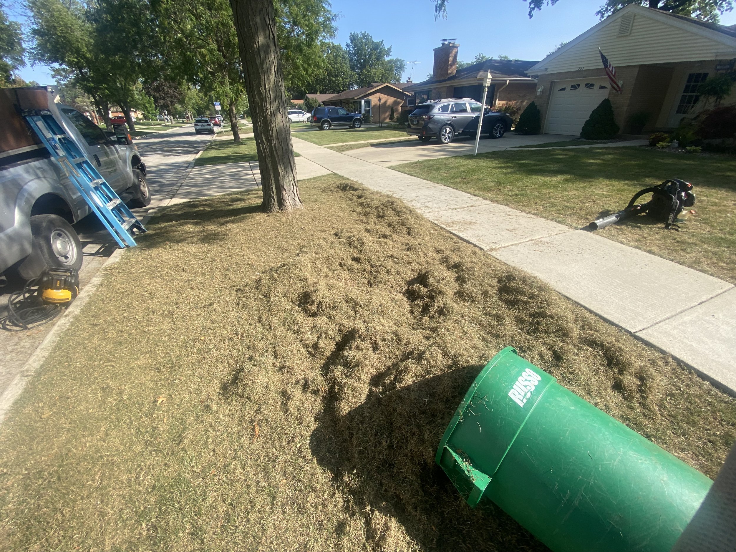 Lawn Dethatching & Power Raking Service In Lake Bluff, IL