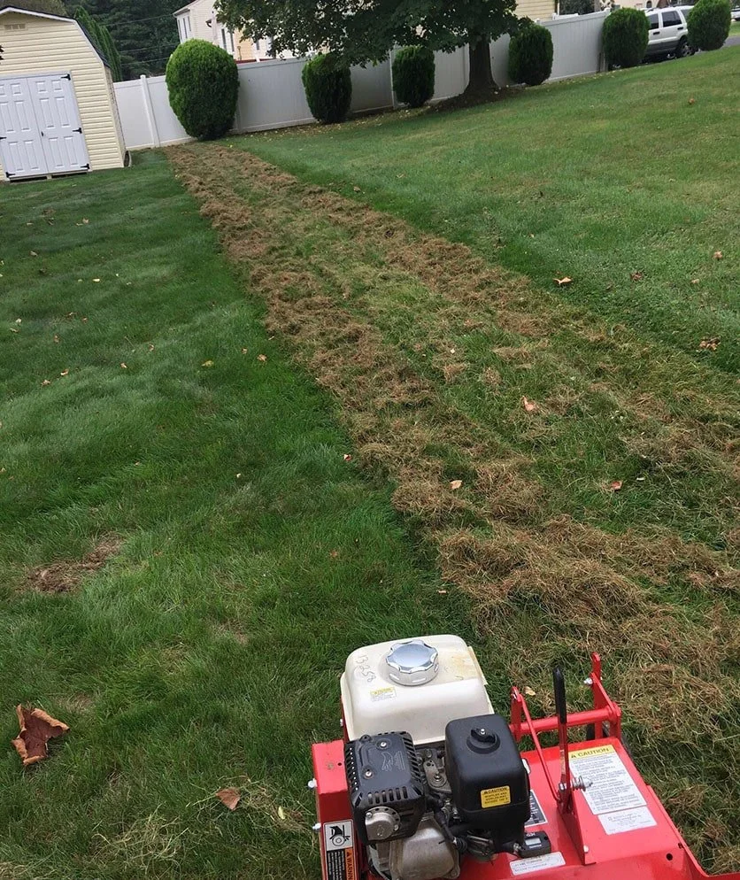 Lawn dethatching service in Lake Bluff Illinois by Evo Lawn and Landscape