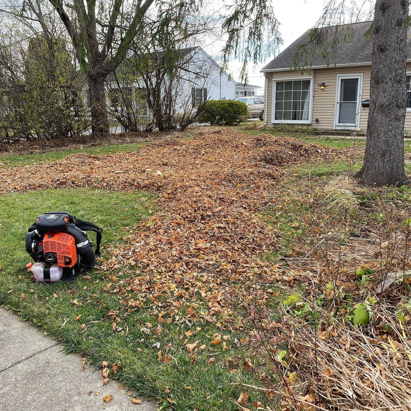 Residential fall clean up and leaf removal service in Lake Bluff Illinois by Evo Lawn and Landscape