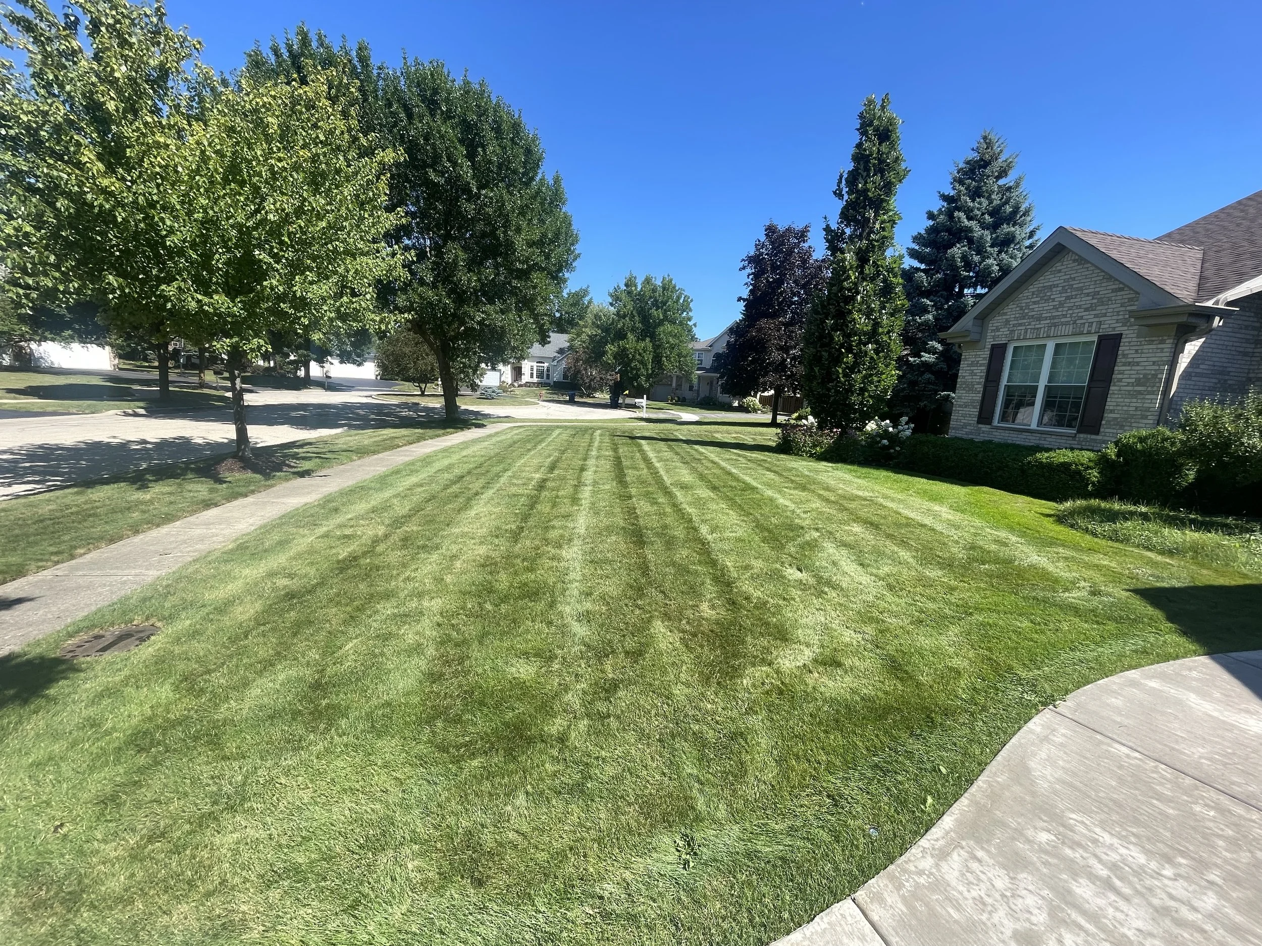 Freshly mowed residential lawn with clean striping by Evo Lawn and Landscape in Lake County Illinois