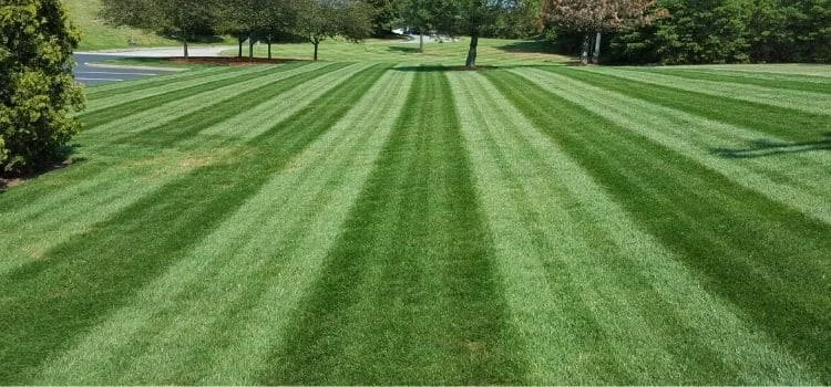Lawn care and landscaping service for Lake County Illinois homeowners