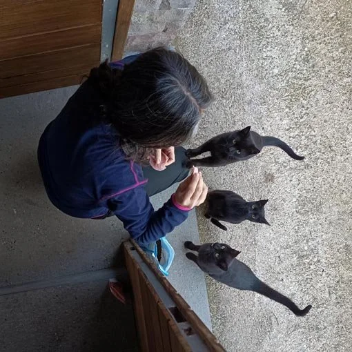 56. JOSE ML VIDAL (aperitivo en familia)