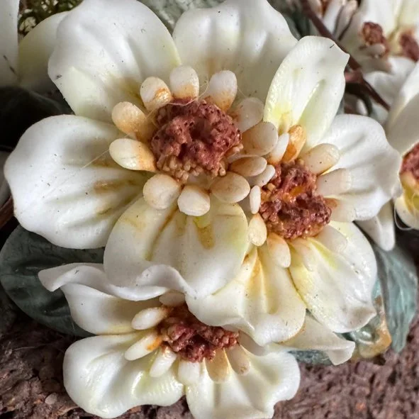 36 MARIBEL MARTÍNEZ