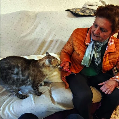 22. ELENA TORRES (compañía)