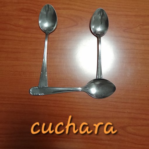 15. AMELIA GIJÓN  cuchara