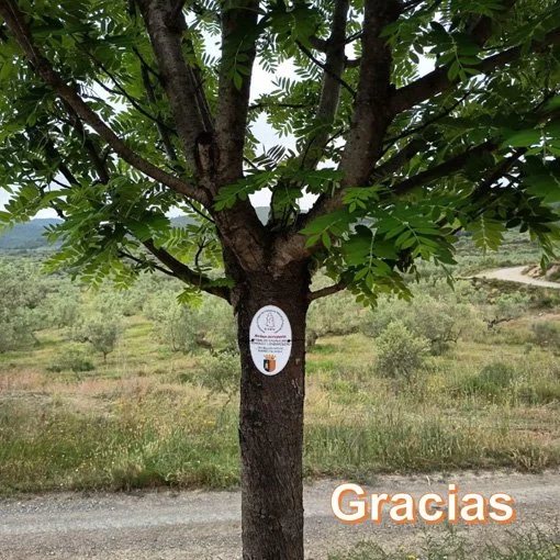 16 MARÍA CHICOTE