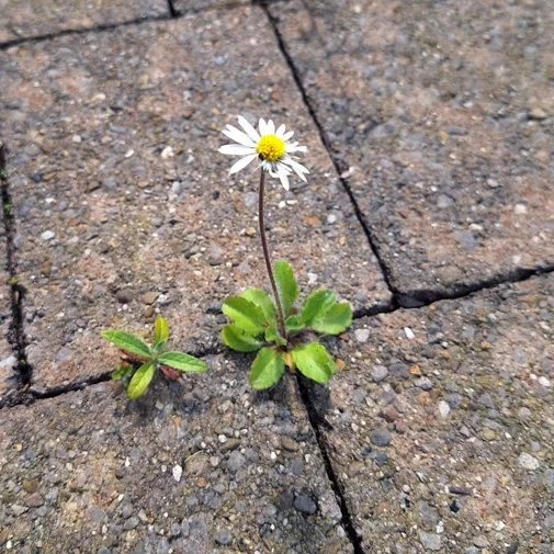 1 RUBÉN G. URDANGARÍN