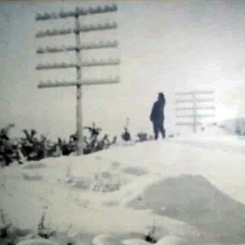 85 FERNANDO ARIAS