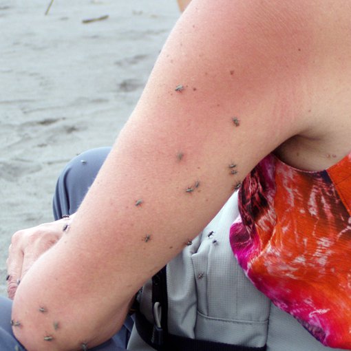 40. QUIQUE SOLER (hummmmmmm)