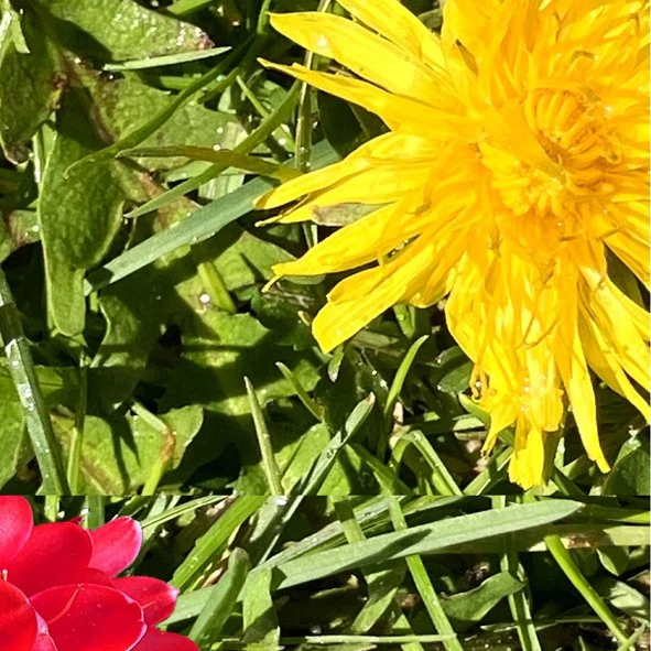 74 JOSÉ MIGUEL ABAD