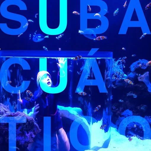 86. VICTOR G. SEGARRA  subacuático