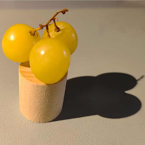 8. PEPA CHICOTE  uva