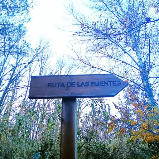 35. JOSE LUIS CALABUIG  ruta de las fuentes