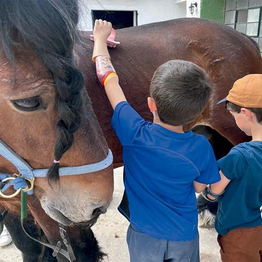 62. JACKIE SCOTT (petting)