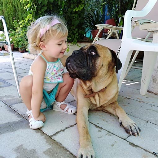 54. MARIOLA FORTUÑO (Llum i gossa)