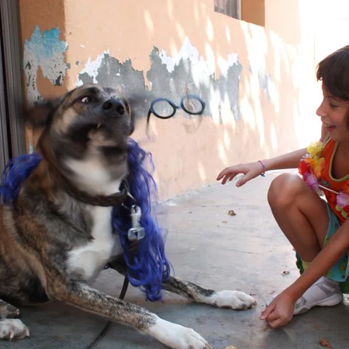 42. PILAR VILA (no lo veo claro)