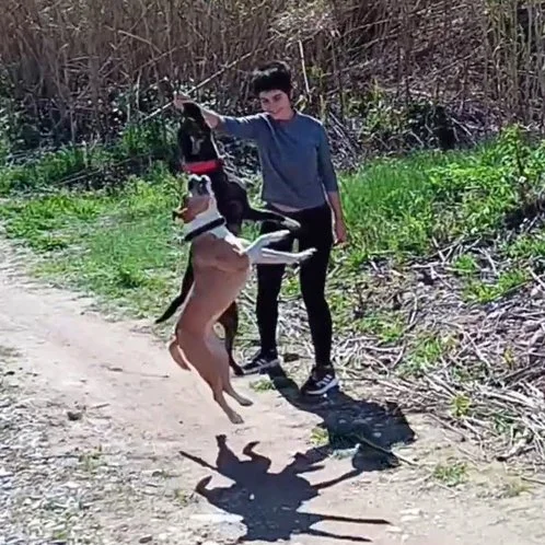 16. JOSE LUIS CALABUIG (Viki, Tai y Foc)