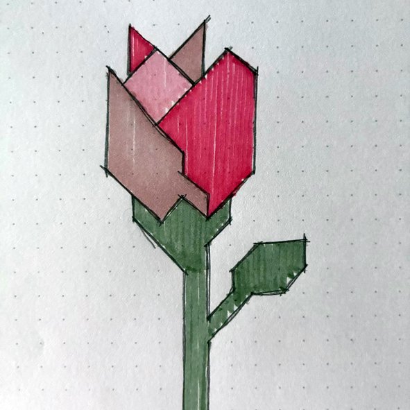 73 CARLOTA RODRÍGUEZ